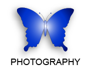 Blue Butterfly Media Photography Portfolio