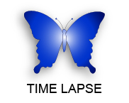 Blue Butterfly Media Time Lapse Photography